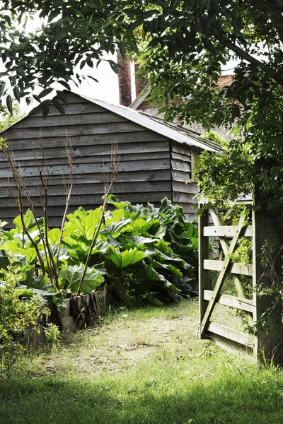 성숙한 정원 헛간 — 스톡 사진