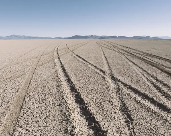 Tire tracks on playa — Stock Photo, Image