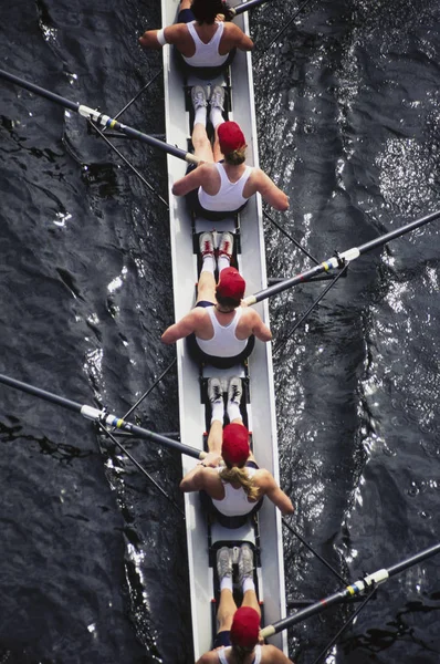 Female crew racers rowing — Stock Photo, Image