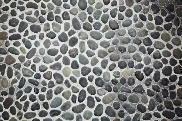 Patio with grey pebbles. — Stock Photo, Image