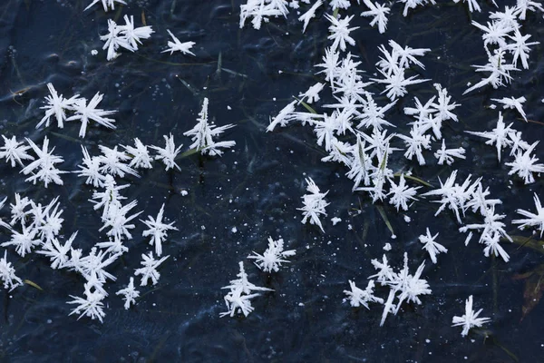 Ice crystals on black background — Stock Photo, Image