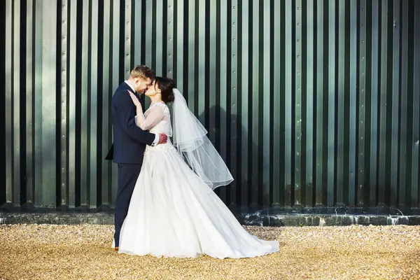 Novia Novio Besándose Delante Pared Metal Corrugado Verde Vista Lateral —  Fotos de Stock