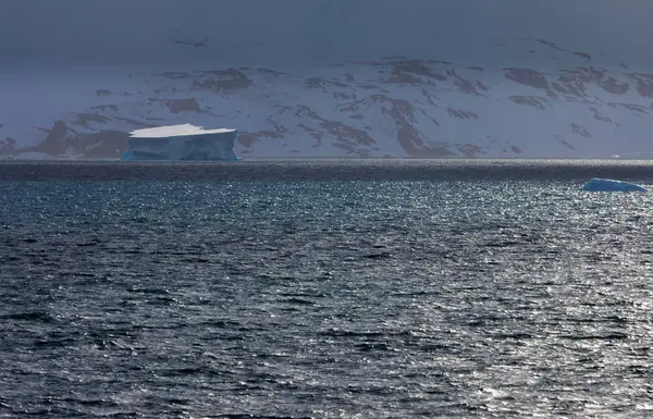 Iceberg Sulla Superficie Dell Acqua Oceanica Antartide — Foto Stock