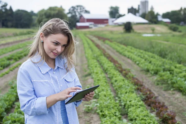 Жінка Оглядає Посіви Салатів Цифровим Планшетом Органічному Фермерському Полі — стокове фото