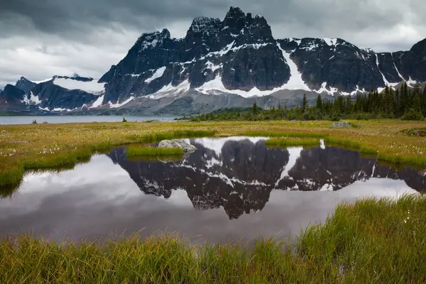 Montañas Prado Verde Parque Nacional Jasper Alberta Canadá — Foto de Stock