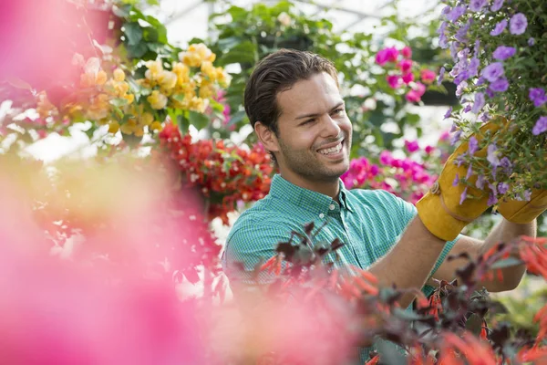 Junger Mann Überprüft Und Pflegt Blumen Gewächshaus Der Gärtnerei — Stockfoto