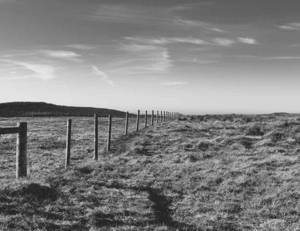牧草地や農地 オープンスペースを通してフェンス — ストック写真