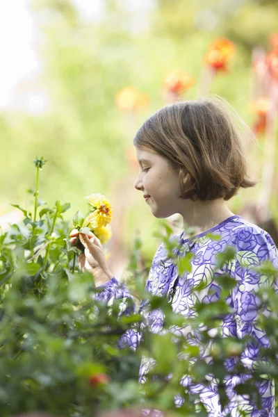Young girl picking flowers in a garden. — Stock Photo