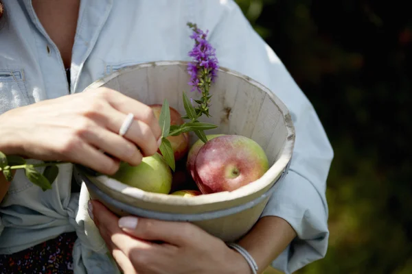 Frau hält Schale mit gepflückten Äpfeln — Stockfoto