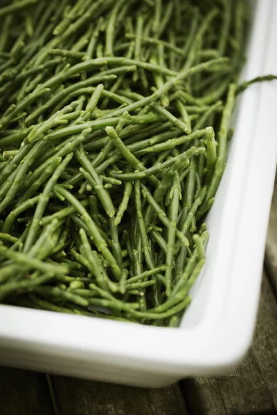 View of a tray of samphire. — Stock Photo