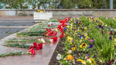 Soyut Memorial'dan çiçekler