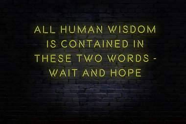 Tuğla duvardaki neon ışığın gece görüşü. Bilge Qoutation. 