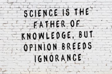 Bilgece alıntıların yazılı olduğu siyah boyanmış beyaz tuğla duvar