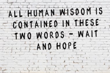 Beyaz tuğla duvara zekice alıntılar yazılı siyah bir yazı.