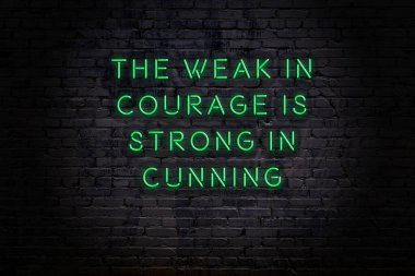 Akıllıca alıntı. Duvara karşı neon yazıtlar