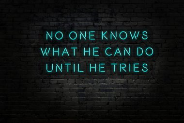 Tuğla duvardaki neon ışığın gece görüşü. Bilge Qoutation. 