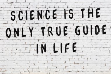 Beyaz tuğla duvar arkaplanına siyah düşünceli bir yazı.