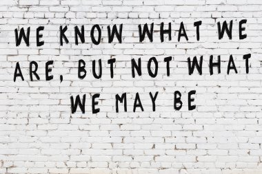 Beyaz tuğla duvara zekice alıntılar yazılı siyah bir yazı.