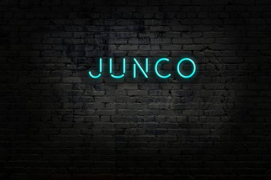 Duvara yazı yazan neon levhası.