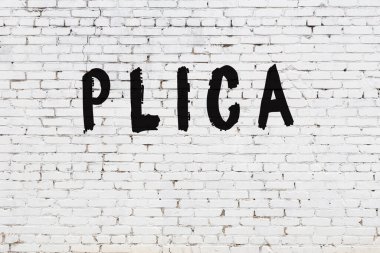 Beyaz tuğla duvara kelime plikası çizilmiş.