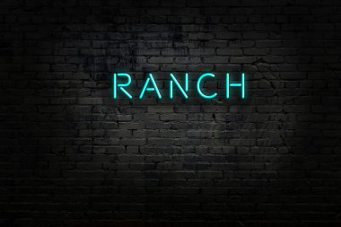 Tuğla duvardaki neon ışıklarının gece görüşü