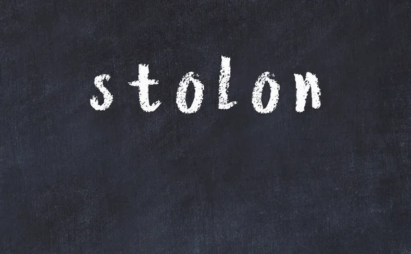 Mesa de giz da faculdade com a palavra stolon escrito em — Fotografia de Stock