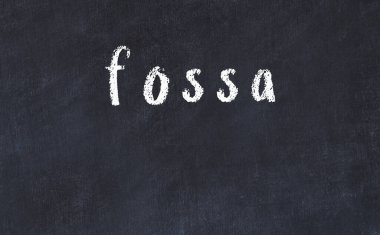 Üzerinde yazıt fossa olan siyah karatahta