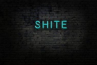 Tuğla duvardaki neon ışıklarının gece görüşü