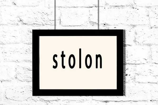 Quadro preto pendurado na parede de tijolo branco com inscrição stolon — Fotografia de Stock