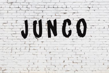 Üzerinde siyah boya olan beyaz duvar.