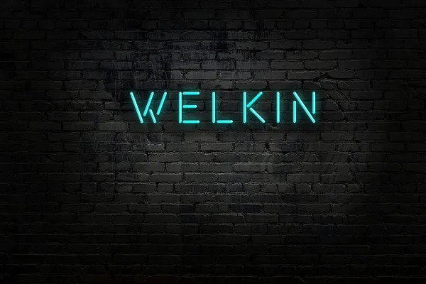 Tuğla duvardaki neon ışıklarının gece görüşü