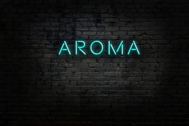 Tuğla duvardaki neon ışıklarının gece görüşü