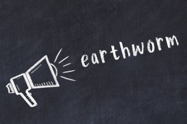 Hoparlör ve toprak solucanı tebeşiri.