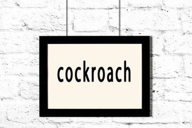 Siyah çerçeve beyaz tuğla duvarda asılı hamamböceği yazısıyla