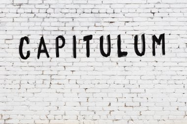 Üzerinde siyah boya kapitulumu olan beyaz duvar.