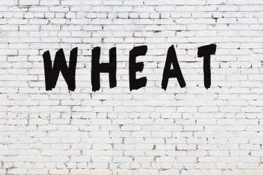 Üzerinde siyah boya yazılı buğday olan beyaz duvar.