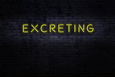 Tuğla duvardaki neon ışıklarının gece görüşü.