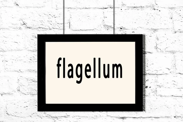 Black frame hanging on white brick wall with inscription flagellum — Stock Photo, Image