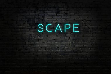 Tuğla duvardaki neon ışıklarının gece görüşü