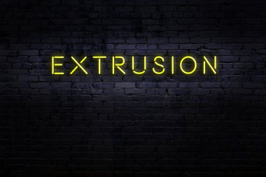 Tuğla duvardaki neon levhanın gece görüşü.