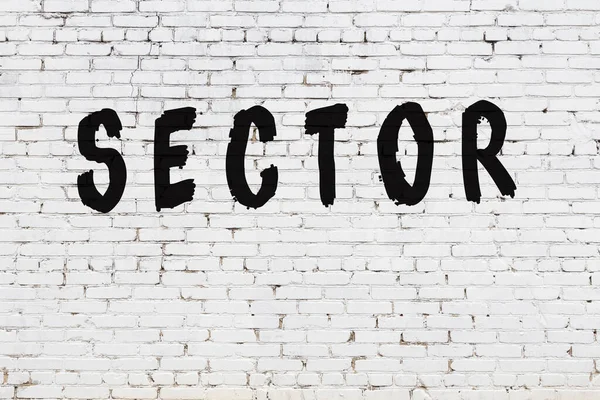 Word sektorn målad på vit tegelvägg — Stockfoto