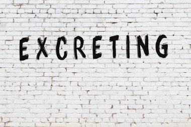 Kelimeler beyaz tuğla duvara boyanmış.