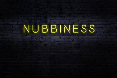 Tuğla duvardaki neon levhanın gece görüşü.