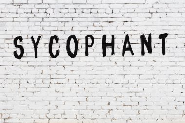 Sözcük dalkavuğu beyaz tuğla duvara boyanmış.