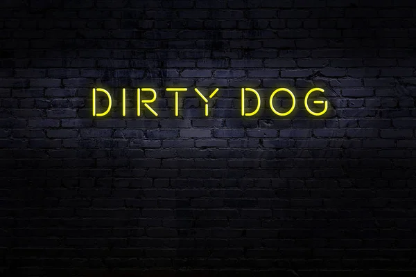 Neonové znamení. Slovo špinavý pes proti cihlové zdi. Noční pohled — Stock fotografie