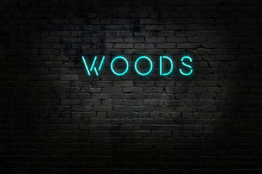 Tuğla duvardaki neon ışıklarının gece görüşü