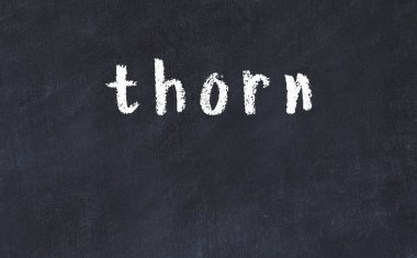 Üzerinde dikenli siyah karatahta.