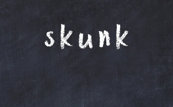 College chalk desk with the word skunk written on in — Stock Photo, Image