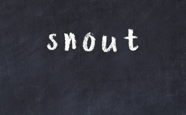 Üzerinde yazı burnu olan siyah karatahta.