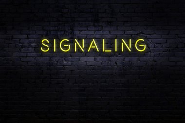Tuğla duvarda, üzerinde yazı olan neon ışıklarının gece görüşü